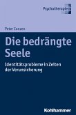 Die bedrängte Seele (eBook, ePUB)