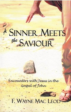A Sinner Meets the Saviour (eBook, ePUB) Cover A Sinner Meets the Saviour (eBook, ePUB)