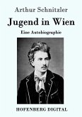 Jugend in Wien (eBook, ePUB)