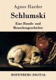 Schlumski (eBook, ePUB)