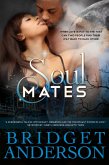Soul Mates (eBook, ePUB)