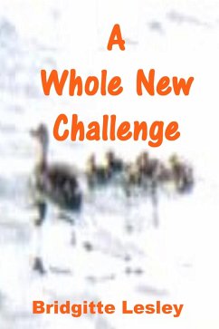 A Whole New Challenge (eBook, ePUB) - Lesley, Bridgitte