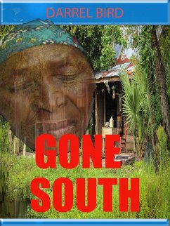 Gone South (eBook, ePUB) - Bird, Darrel