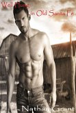 Well Hung in Old Santa Fe (eBook, ePUB)