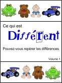 Ce qui est Différent (Volume 1) (eBook, ePUB)