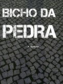 Bicho da Pedra (eBook, ePUB)