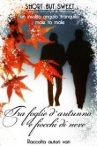 Short but Sweet - Tra foglie d'autunno e fiocchi di neve (eBook, ePUB)