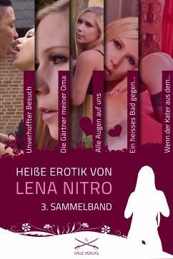 Heiße Erotik von Lena Nitro - 3. Sammelband (eBook, ePUB) - Nitro, Lena