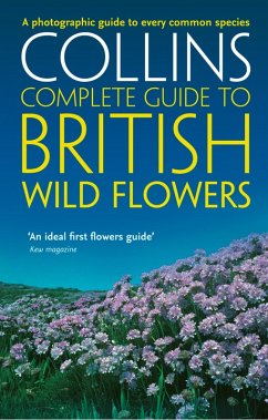 Cover British Wild Flowers (eBook, ePUB)