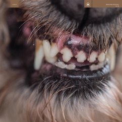 World Eater - Blanck Mass