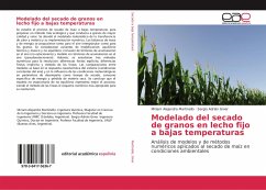 Modelado del secado de granos en lecho fijo a bajas temperaturas - Martinello, Miriam Alejandra;Giner, Sergio Adrián