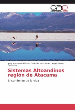 Sistemas Altoandinos región de Atacama