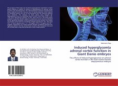 Induced hyperglycemia adrenal cortex function in Giant Danio embryos