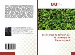 Les écorces de tamarin par la technique de fluorescence X - Rajaona Tsirinjara, Aristide Sylvain