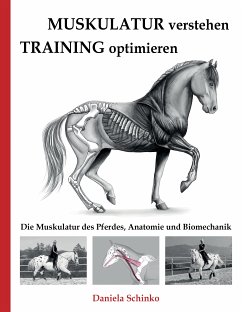 Muskulatur verstehen - Training optimieren (eBook, ePUB) - Schinko, Daniela