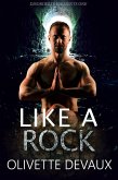 Like a Rock (Disordery Elements) (eBook, ePUB)