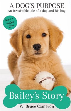Cover Bailey's Story (eBook, ePUB)