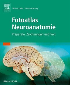 Fotoatlas Neuroanatomie (eBook, ePUB) - Deller, Thomas; Sebesteny, Tamas