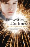 Fireworks And Darkness (eBook, ePUB)