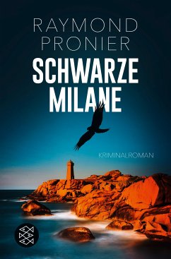 Schwarze Milane (eBook, ePUB) - Pronier, Raymond