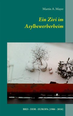 Ein Zivi im Asylbewerberheim - Mayer, Martin A.