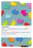 What is a group and how does a group function? Group dynamics and the model according to Bruce Tuckman and Ruth Cohn (eBook, PDF)