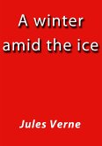 A winter amid the ice (eBook, ePUB)