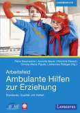 Arbeitsfeld Ambulante Hilfen der Erziehung (eBook, PDF)