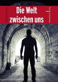 Die Welt zwischen uns (eBook, PDF)