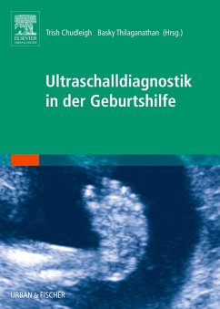 Cover Ultraschalldiagnostik in der Geburtshilfe (eBook, ePUB)