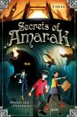 Spione der Unterwelt / Secrets of Amarak Bd.1 (eBook, ePUB)