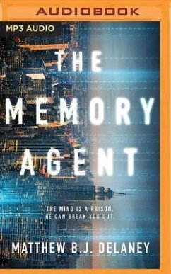 The Memory Agent - Delaney, Matthew B. J.