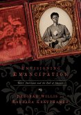 Envisioning Emancipation: Black Americans and the End of Slavery
