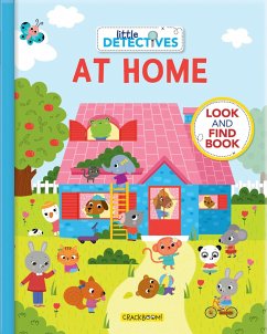 Little Detectives at Home: A Look and Find Book
