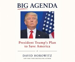 BIG AGENDA 4D - Horowitz, David