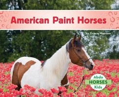 American Paint Horses - Hansen, Grace