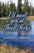 I'LL MEET YOU AT THREE FORKS - Bild 1