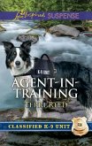 Agent-In-Training (eBook, ePUB) Agent-In-Training (eBook, ePUB)