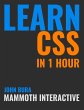 Learn CSS in 1 Hour - Bild 1