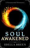 Soul Awakened (Fire & Ice, #2) (eBook, ePUB)