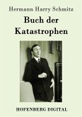 Buch der Katastrophen (eBook, ePUB)