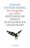 Die Flughöhe der Adler (eBook, PDF)