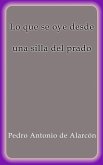 Lo que se oye desde una silla del prado (eBook, ePUB)