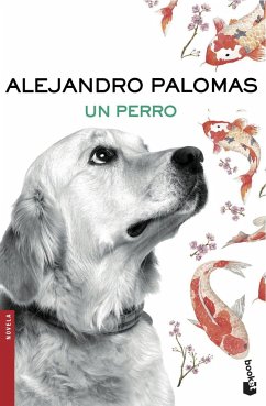 Un perro - Palomas, Alejandro