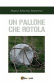 Un pallone che rotola (eBook, ePUB)