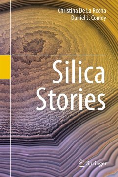 Cover Silica Stories