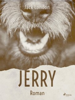 Jerry (eBook, ePUB) Cover Jerry (eBook, ePUB)