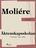 Äktenskapsskolan (eBook, ePUB)