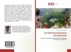 Les biominéralisations microbiennes