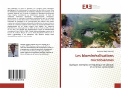 Les biominéralisations microbiennes - Caminiti, Antoine, Marie